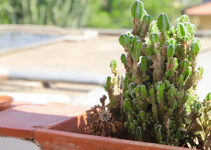 Casa Lucia Сasa de vacaciones Agnone Bagni